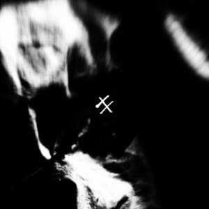 Parting Gift - Ensom