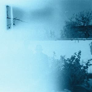 Dolphin House Experiment - Sane